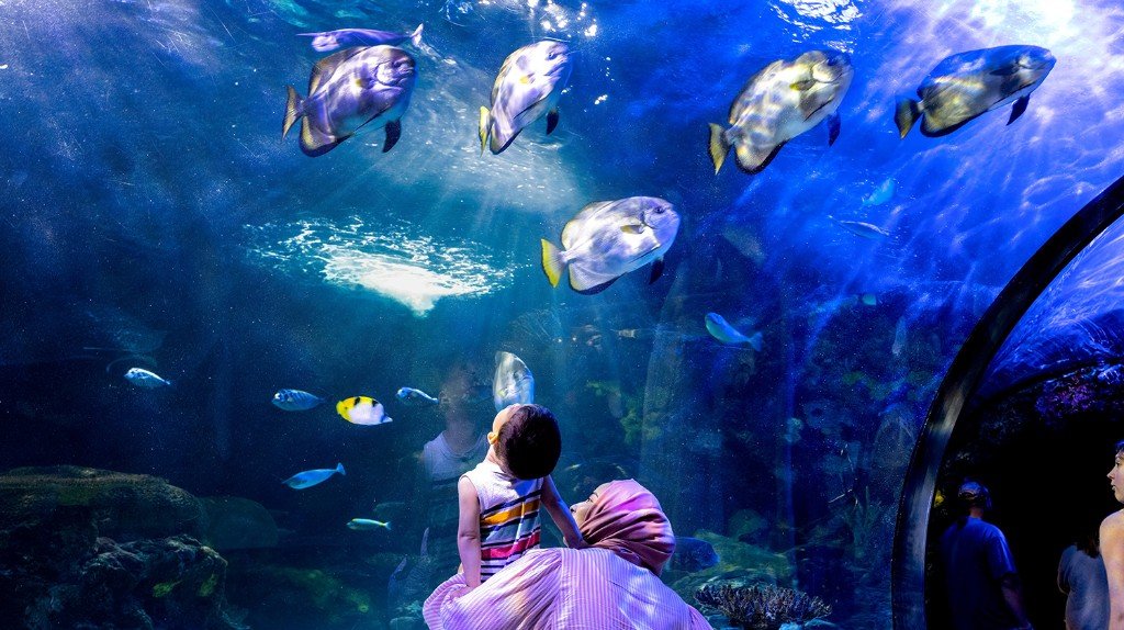 Virginia Aquarium tunnel with fish swimming overhead